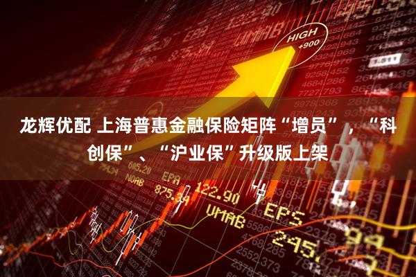 龙辉优配 上海普惠金融保险矩阵“增员” ，“科创保”、“沪业保”升级版上架