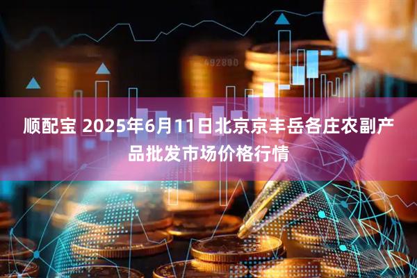 顺配宝 2025年6月11日北京京丰岳各庄农副产品批发市场价格行情