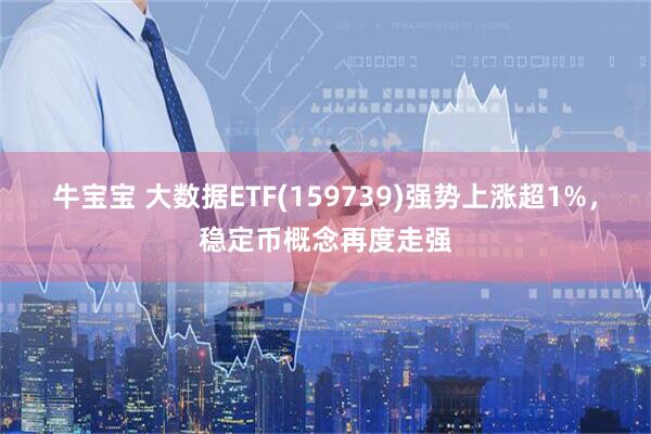 牛宝宝 大数据ETF(159739)强势上涨超1%，稳定币概念再度走强