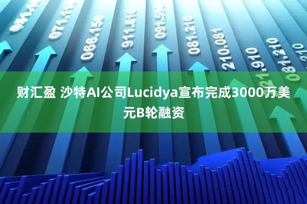 财汇盈 沙特AI公司Lucidya宣布完成3000万美元B轮融资