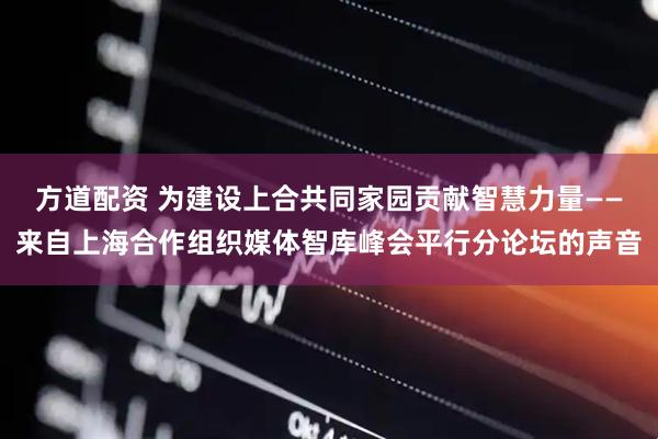 方道配资 为建设上合共同家园贡献智慧力量——来自上海合作组织媒体智库峰会平行分论坛的声音