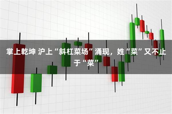掌上乾坤 沪上“斜杠菜场”涌现，姓“菜”又不止于“菜”