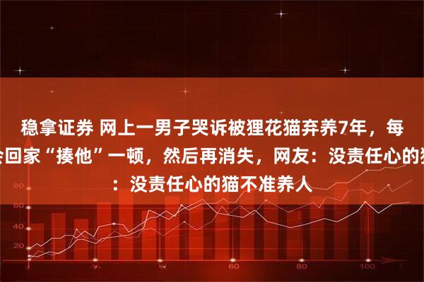 稳拿证券 网上一男子哭诉被狸花猫弃养7年，每天半夜还会回家“揍他”一顿，然后再消失，网友：没责任心的猫不准养人